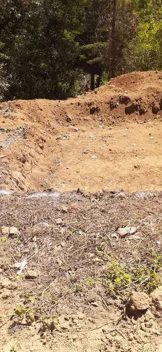 Avance de obra del 20/02/2026 — foto 5