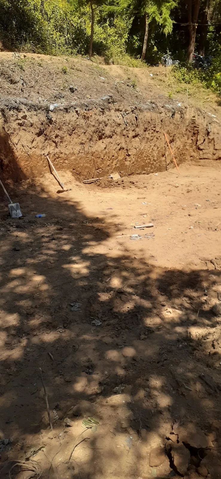 Avance de obra del 30/01/2026
